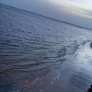 Meet your Posher, Savannah